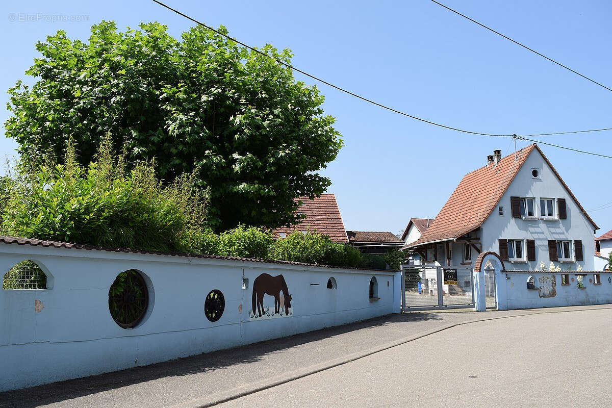 Maison à WISSEMBOURG