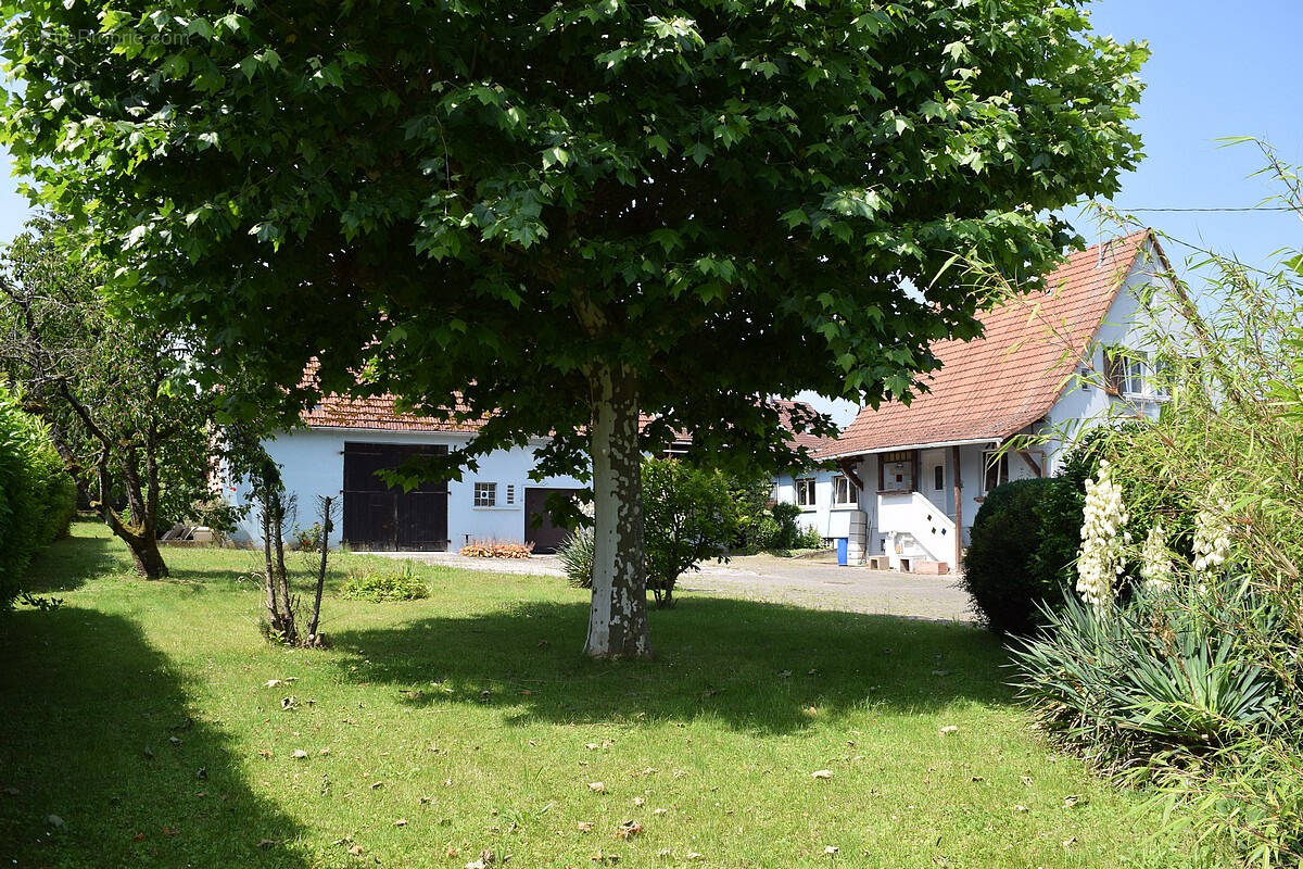 Maison à WISSEMBOURG