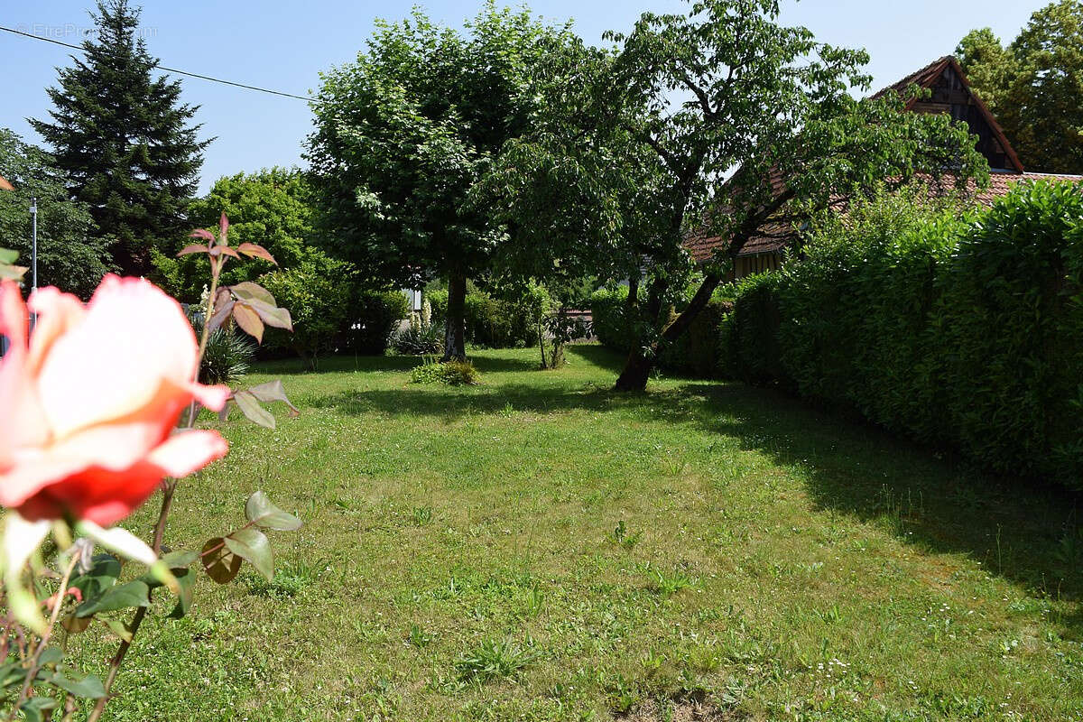 Maison à WISSEMBOURG