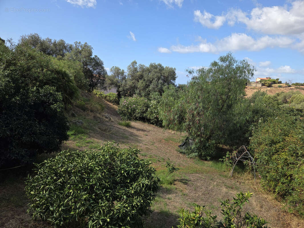 Maison à BASTELICACCIA