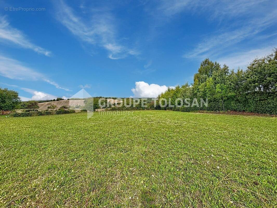 Terrain à LAVAUR