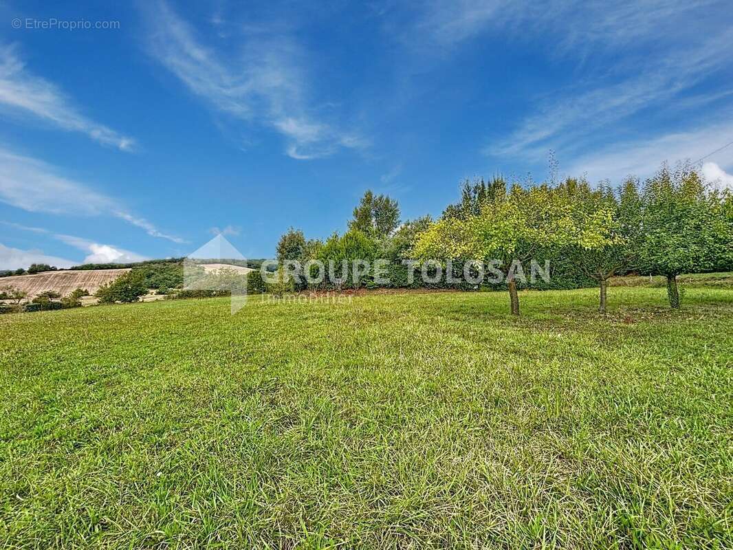 Terrain à LAVAUR