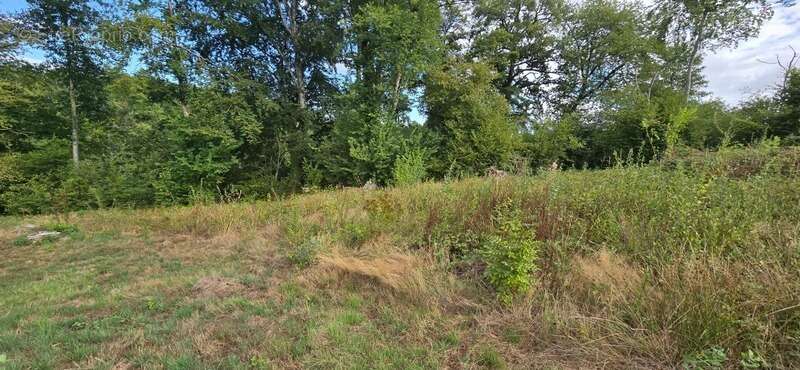 Terrain à BOISSEUIL