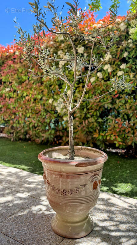 Appartement à CHATEAUNEUF-LE-ROUGE