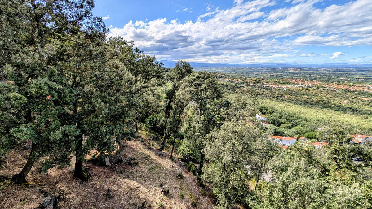Maison à LAROQUE-DES-ALBERES