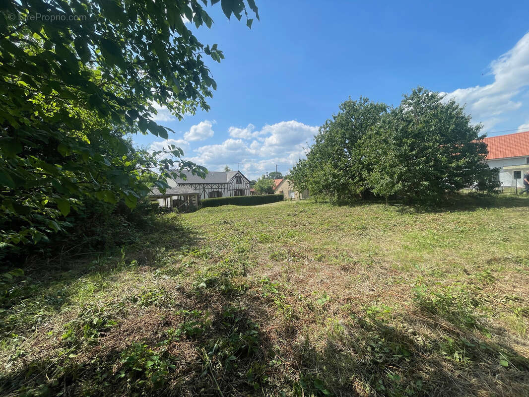 Terrain à ESSERTAUX