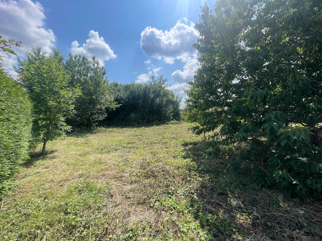 Terrain à ESSERTAUX