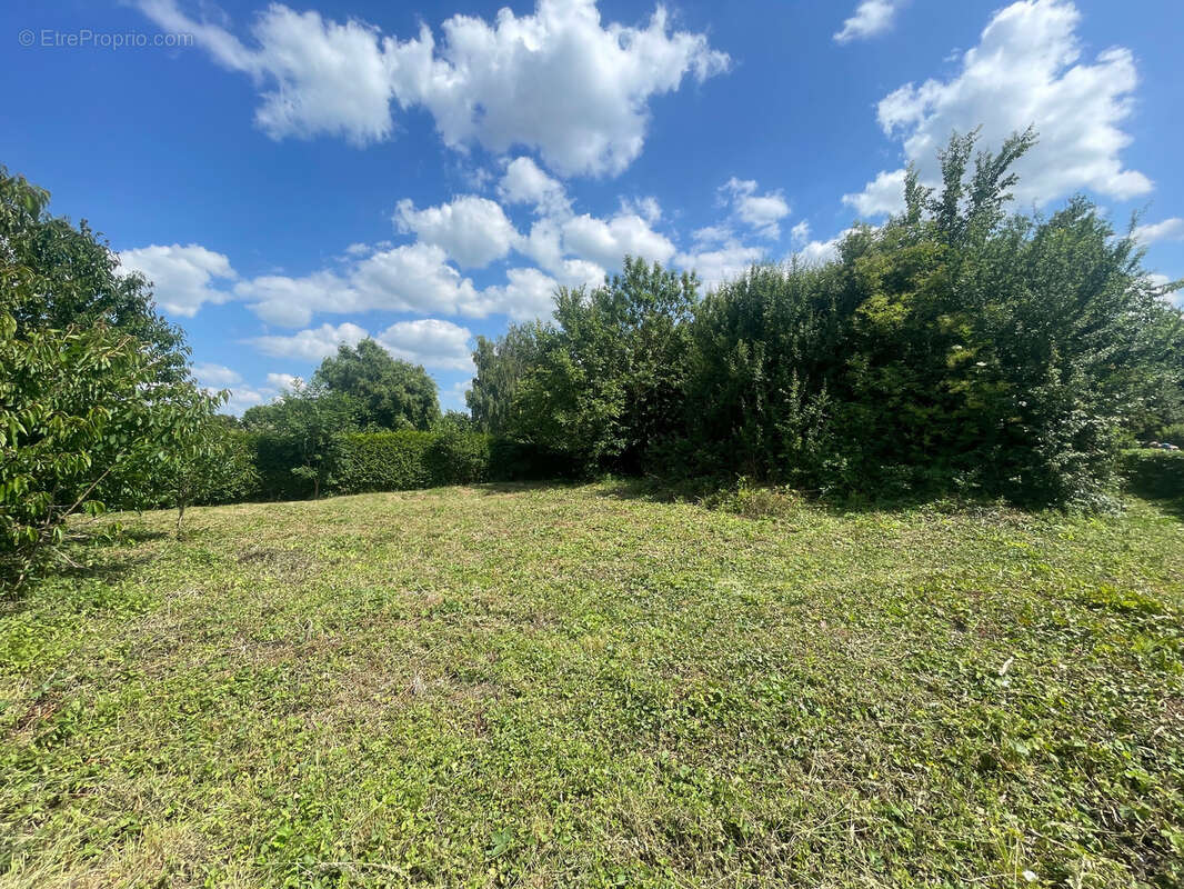 Terrain à ESSERTAUX