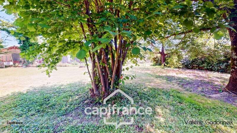 Maison à GENSAC-LA-PALLUE