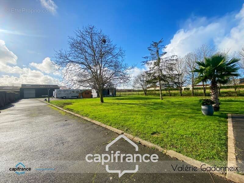 Commerce à SAINTE-SOULLE