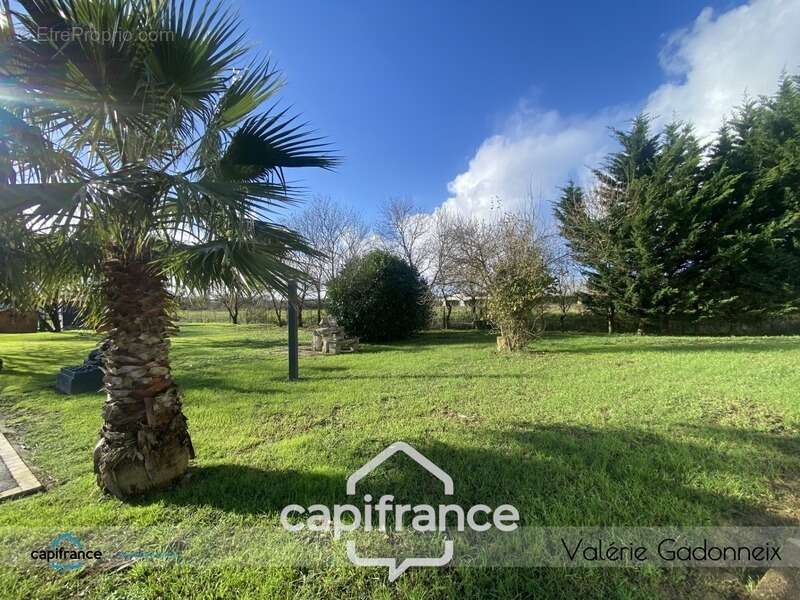 Commerce à SAINTE-SOULLE