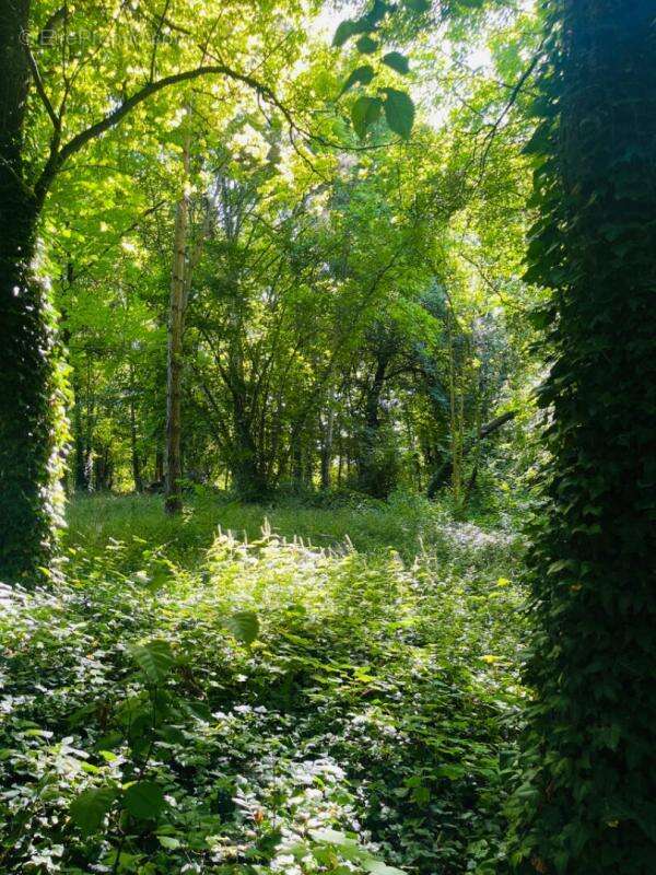 Maison à MARCILLY-SUR-SEINE