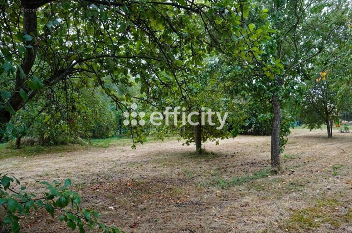 Terrain à SAULX-LES-CHARTREUX