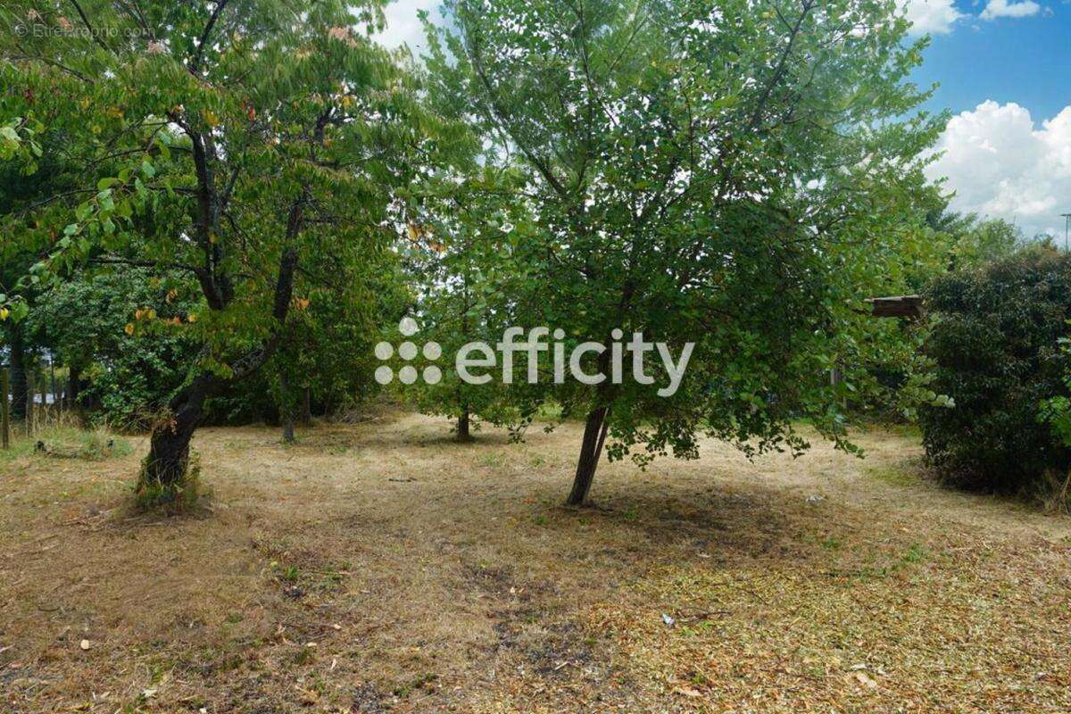 Terrain à SAULX-LES-CHARTREUX