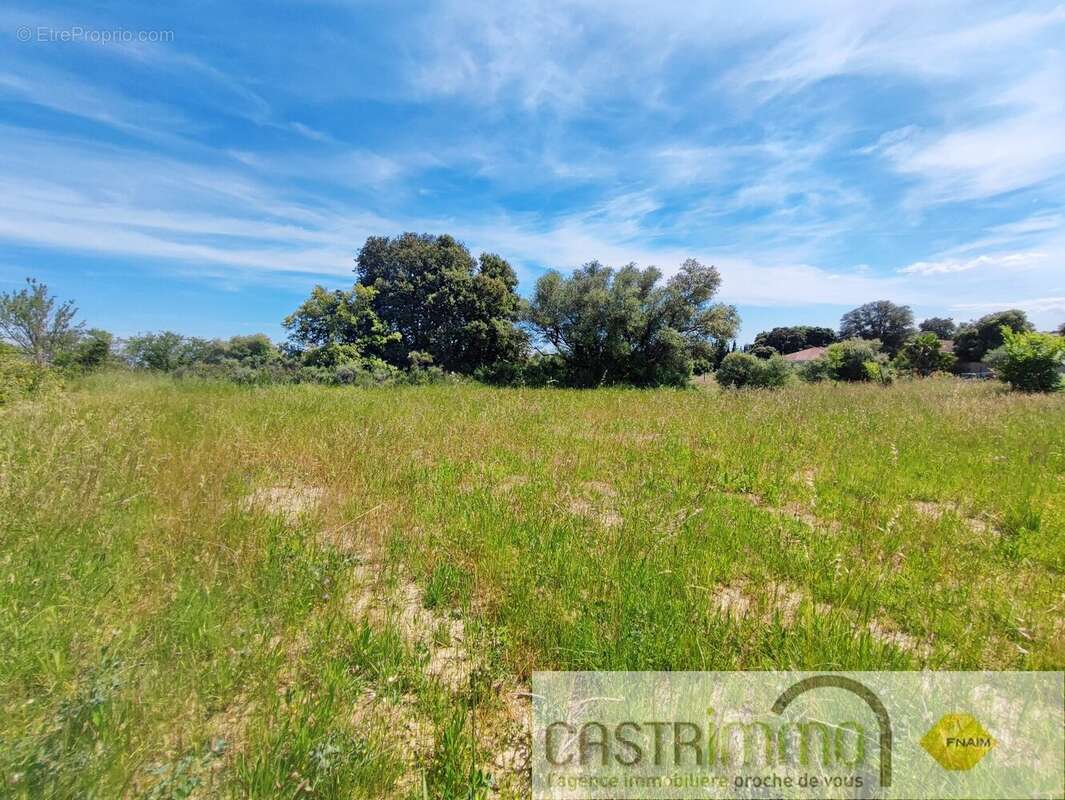 Terrain à CASTRIES