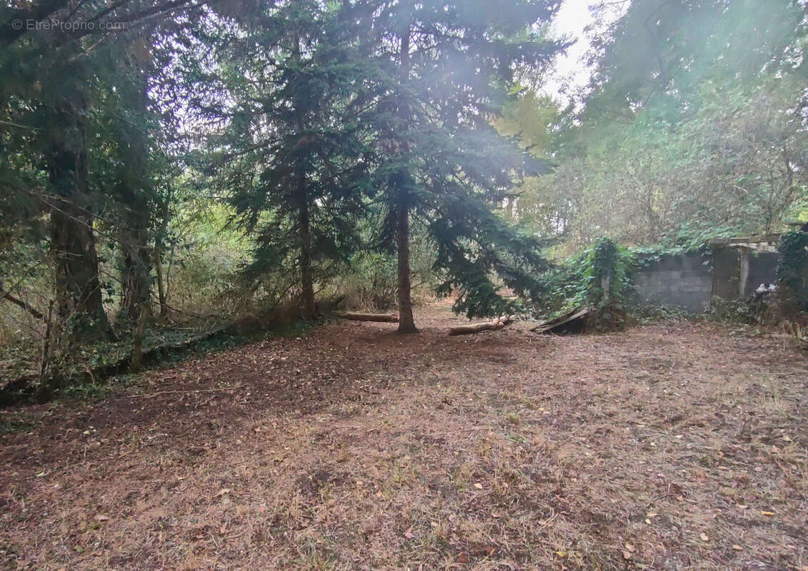 Maison à CREVANT-LAVEINE