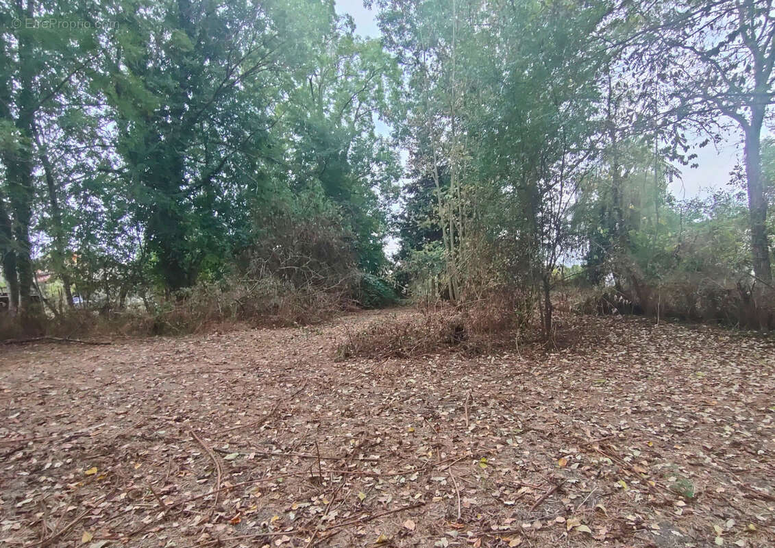 Maison à CREVANT-LAVEINE