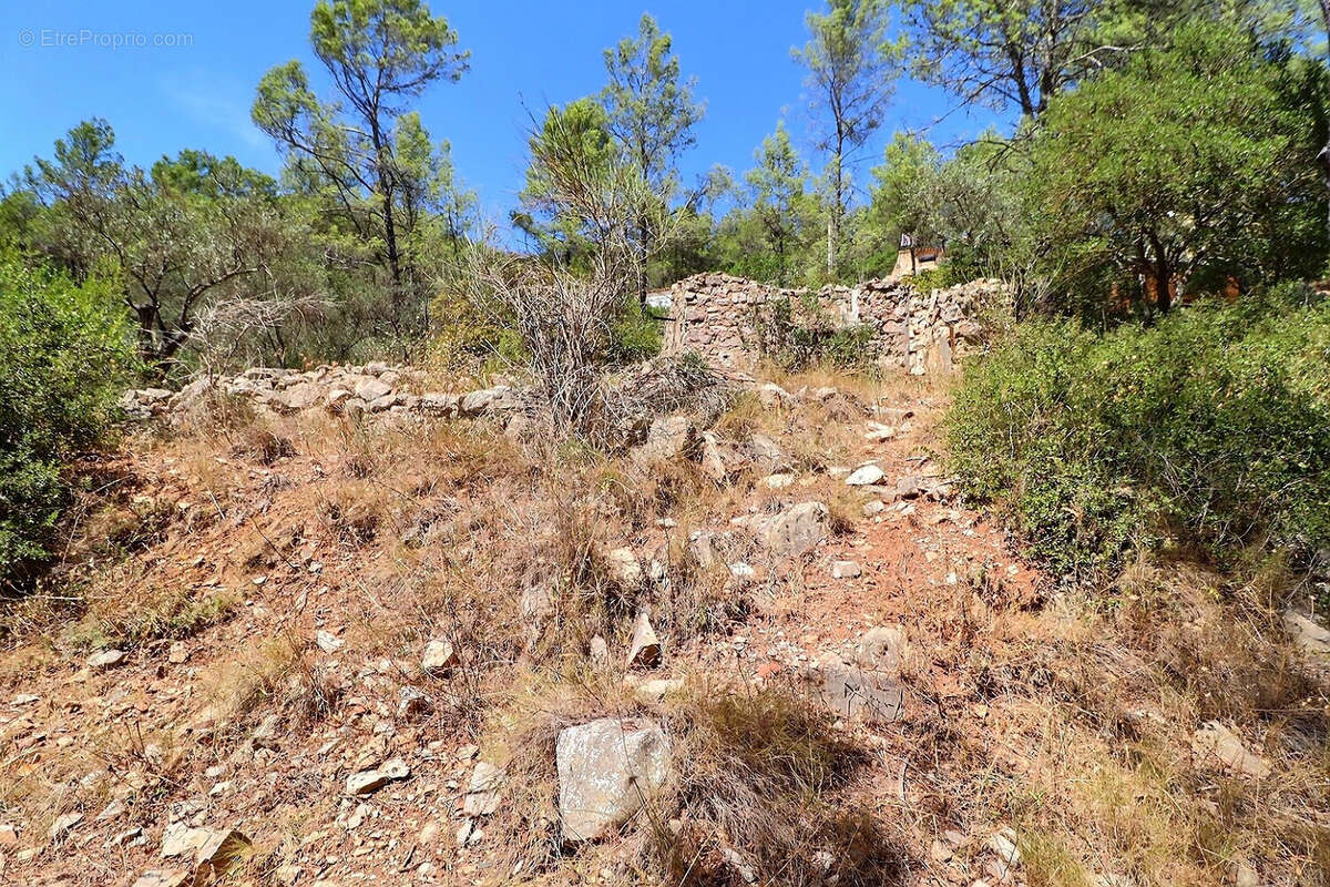 Terrain à BELGENTIER