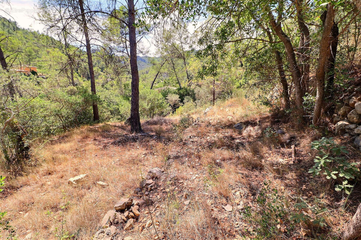 Terrain à BELGENTIER