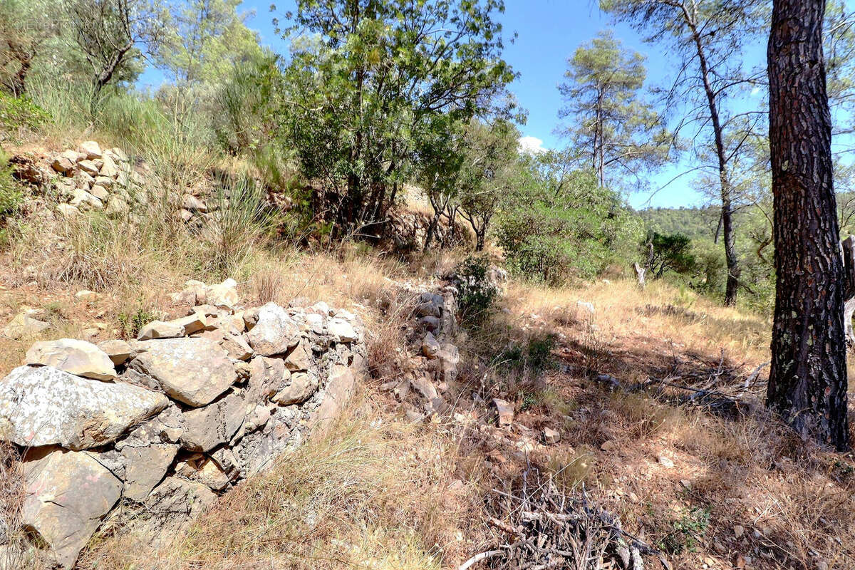 Terrain à BELGENTIER