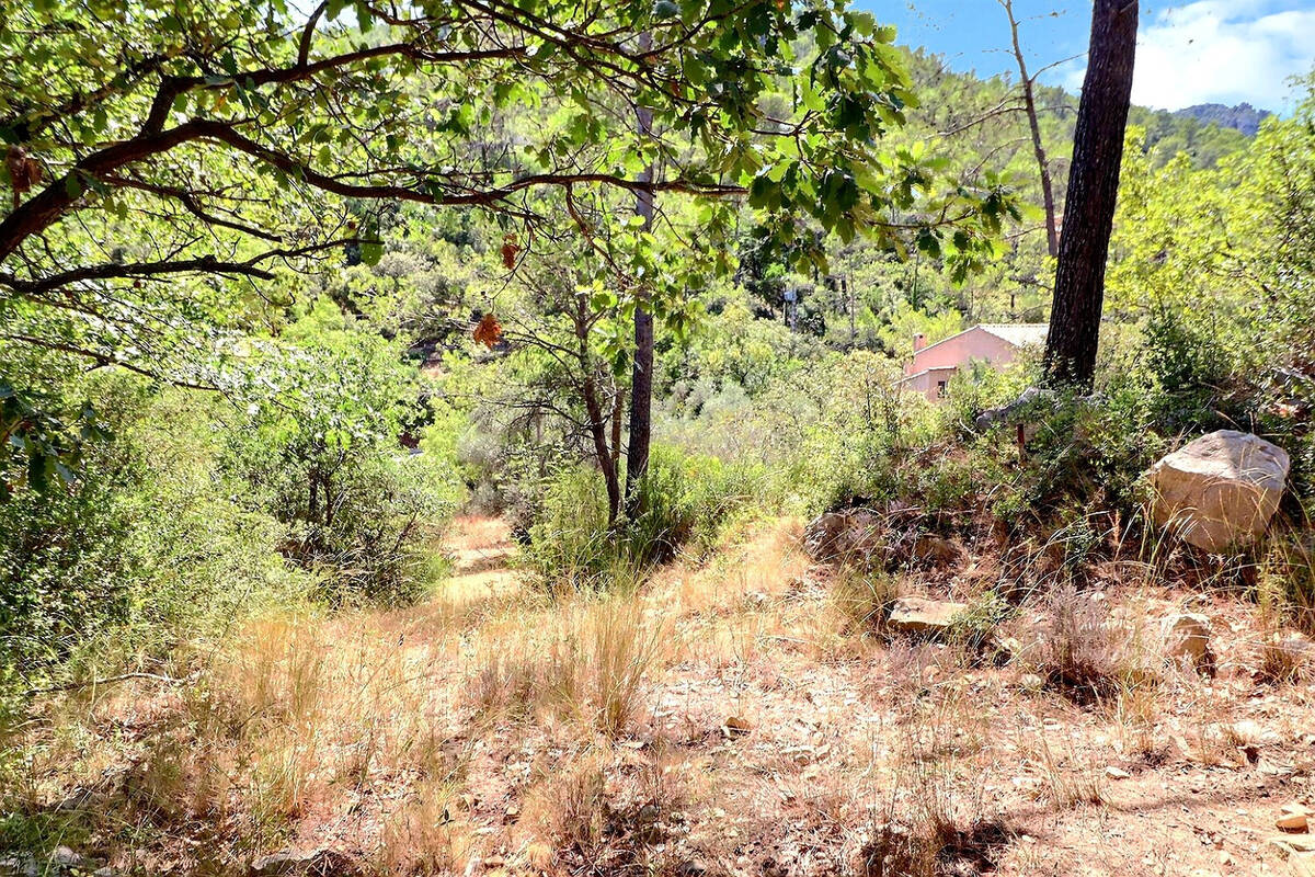 Terrain à BELGENTIER