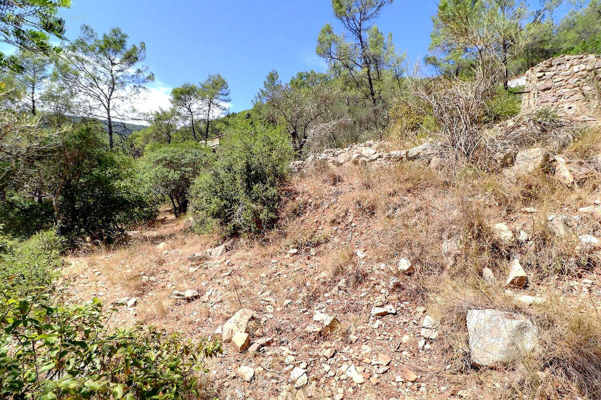 Terrain à BELGENTIER