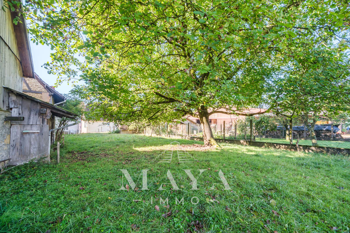 Maison à GRENTZINGEN