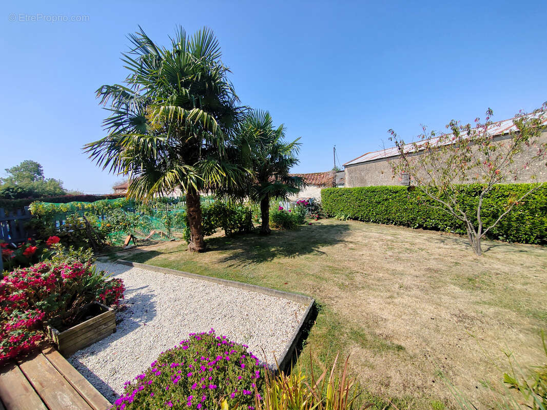 Maison à LA CHATAIGNERAIE