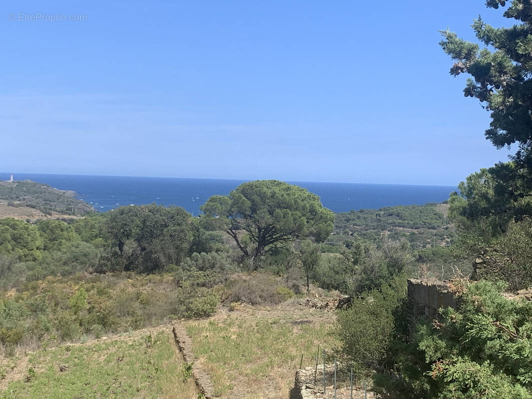 Maison à PORT-VENDRES