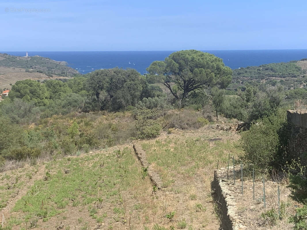 Maison à PORT-VENDRES