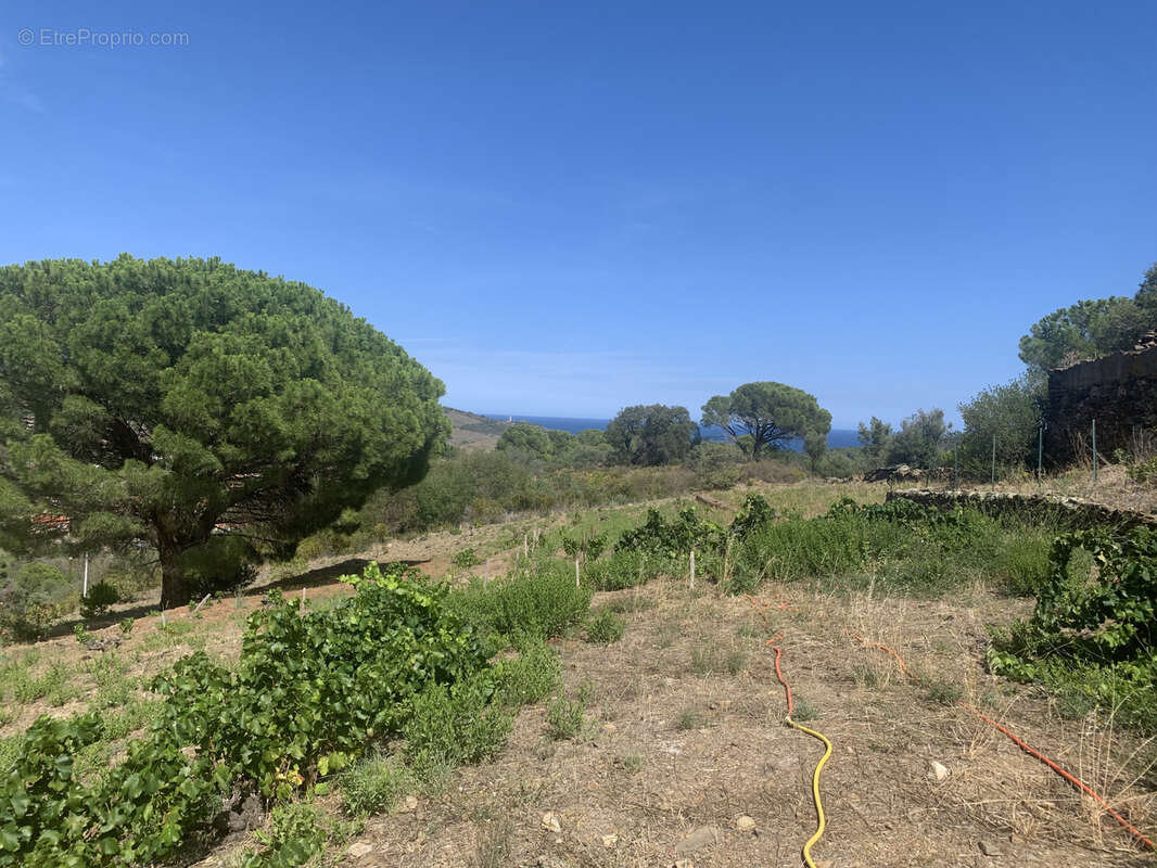 Maison à PORT-VENDRES