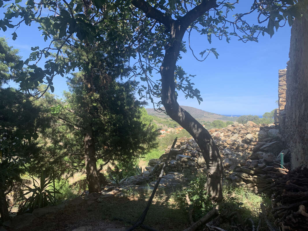 Maison à PORT-VENDRES