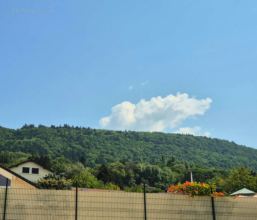 Maison à SAINT-CERGUES