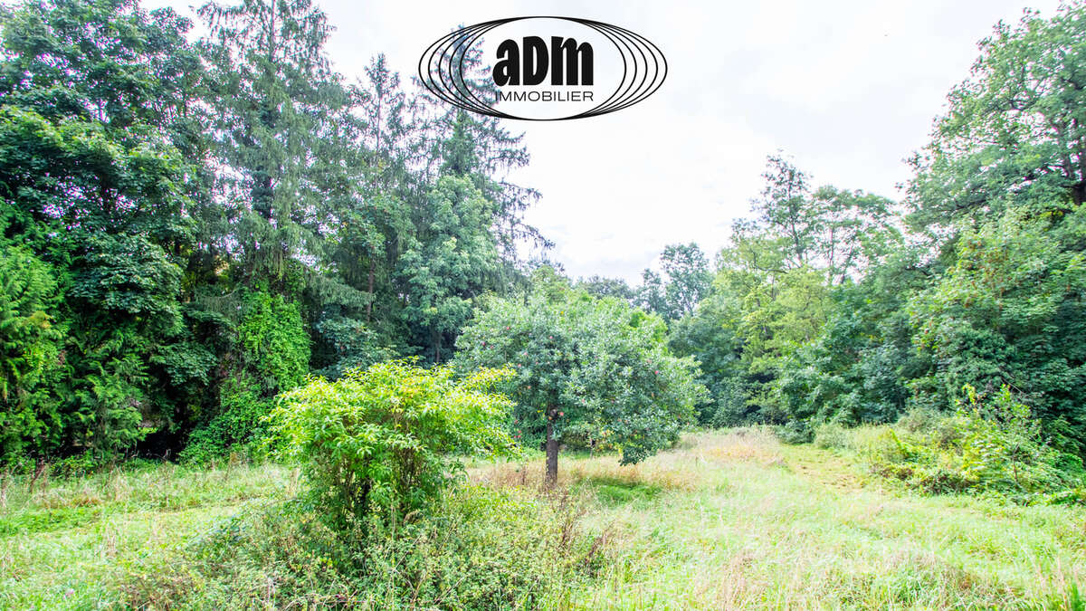 Maison à COUILLY-PONT-AUX-DAMES