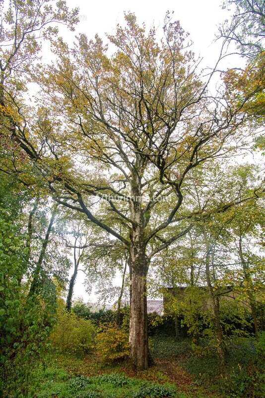 Maison à ARC-ET-SENANS
