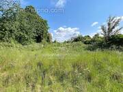 Terrain à RAIMBEAUCOURT