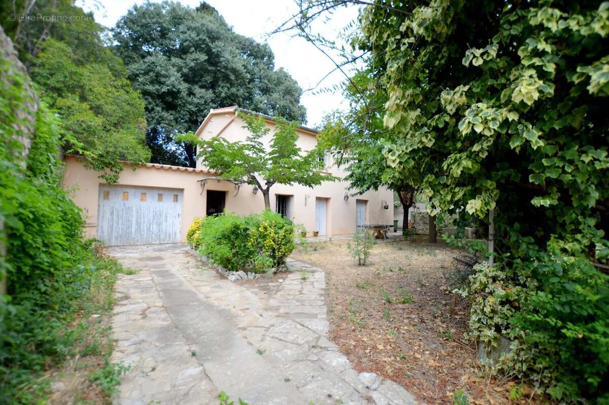 Maison à MONTPELLIER