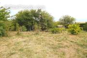 Terrain à LA BRUGUIERE