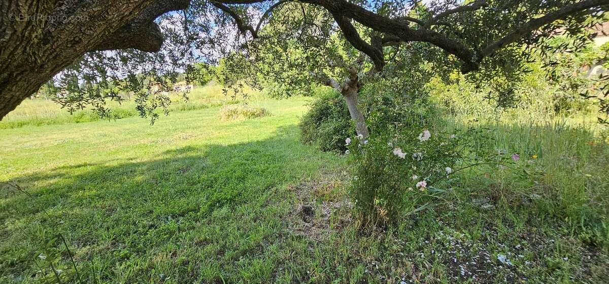 Maison à ROQUEBRUNE-SUR-ARGENS