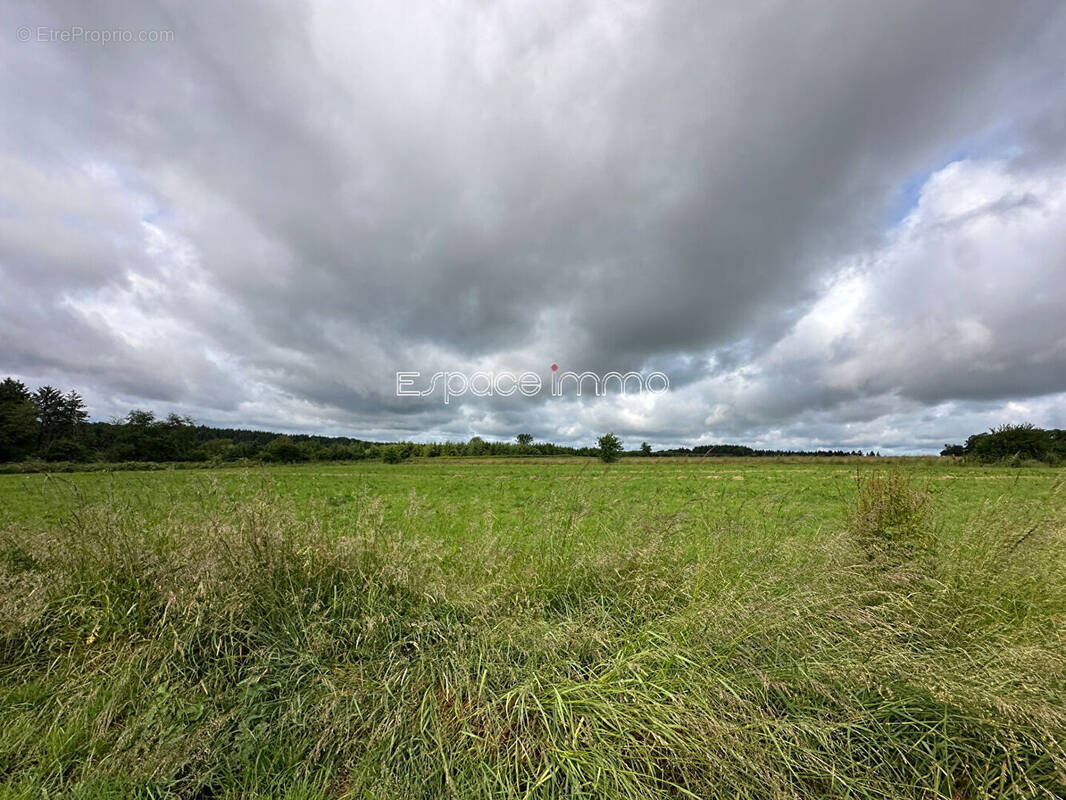 Terrain à MONTVILLE