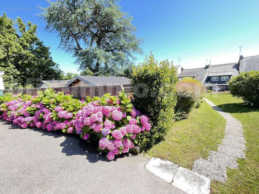 IMG_2218 - Maison à SARZEAU