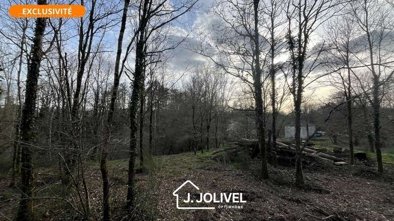 Maison à LA ROCHE-SUR-YON