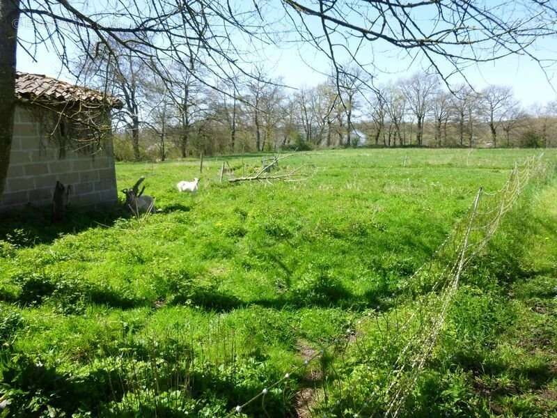 Maison à L&#039;ISLE-JOURDAIN