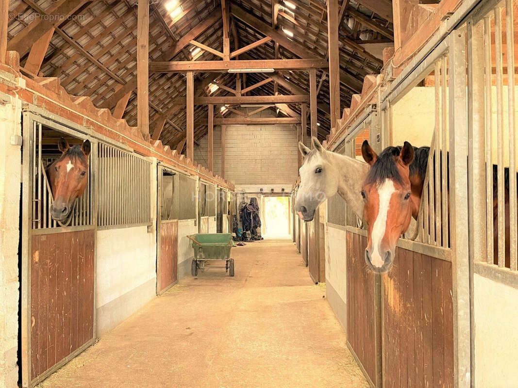 Maison à FONTAINEBLEAU