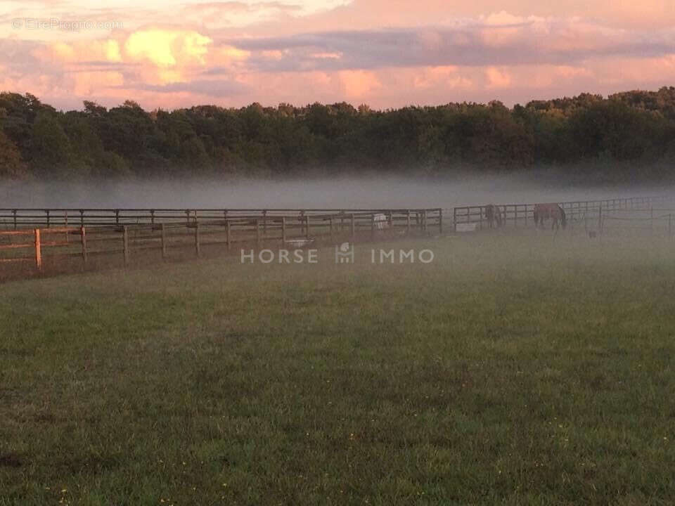 Maison à FONTAINEBLEAU