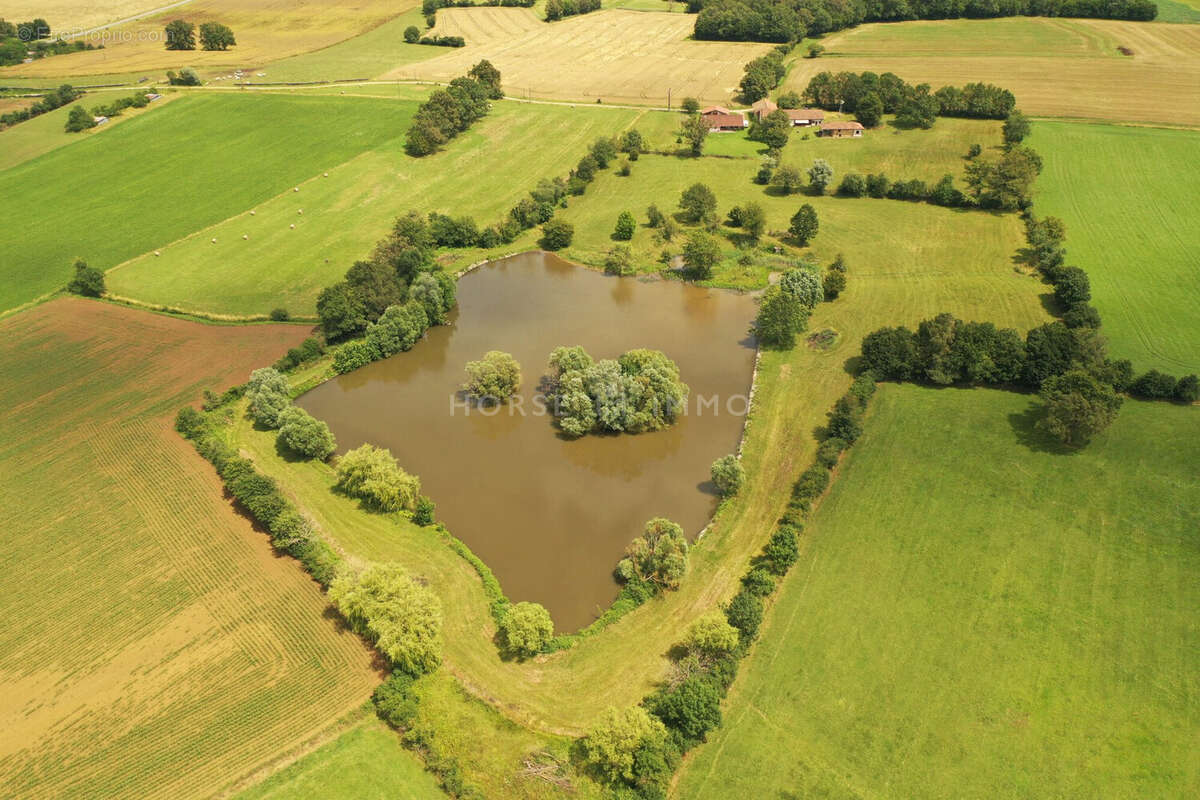 Maison à SAINT-TRIVIER-DE-COURTES