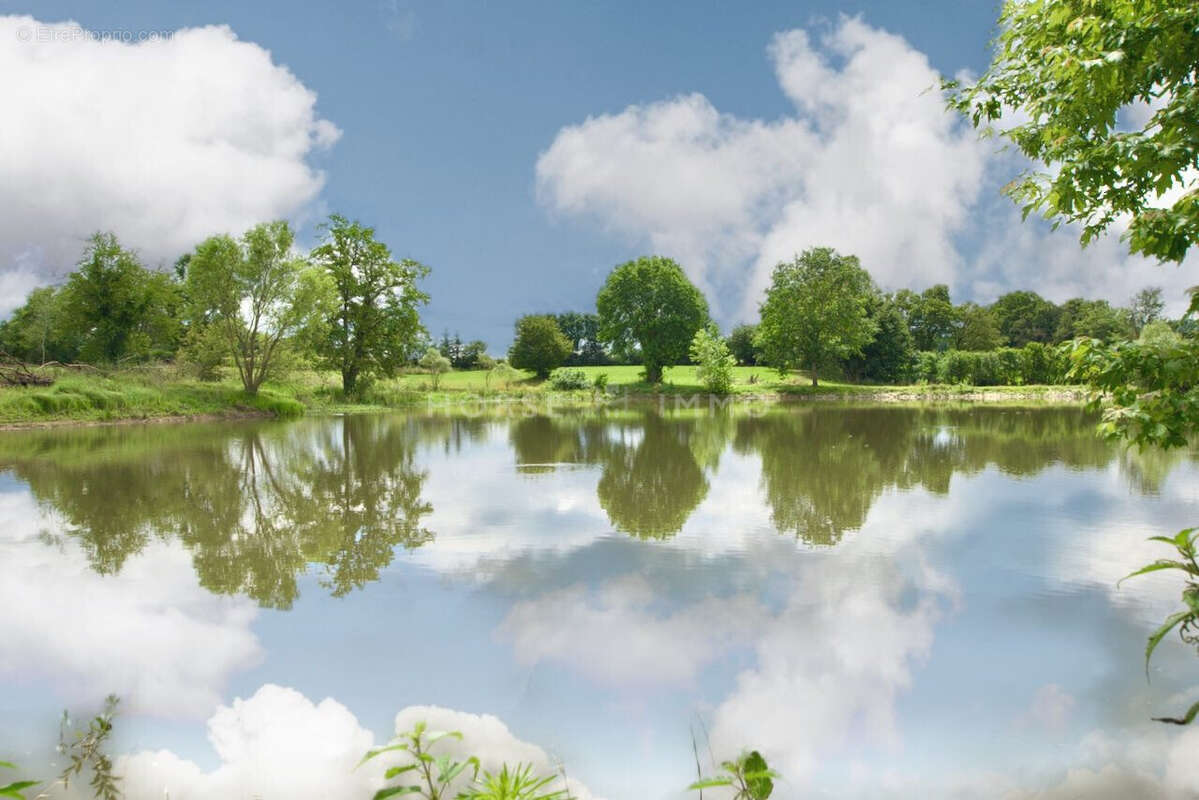 Maison à SAINT-TRIVIER-DE-COURTES