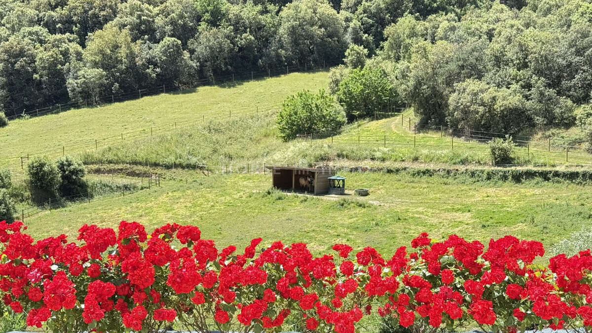 Maison à SAINT-FORTUNAT-SUR-EYRIEUX