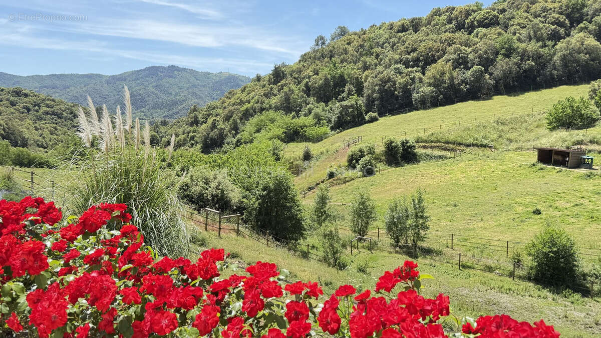 Maison à SAINT-FORTUNAT-SUR-EYRIEUX