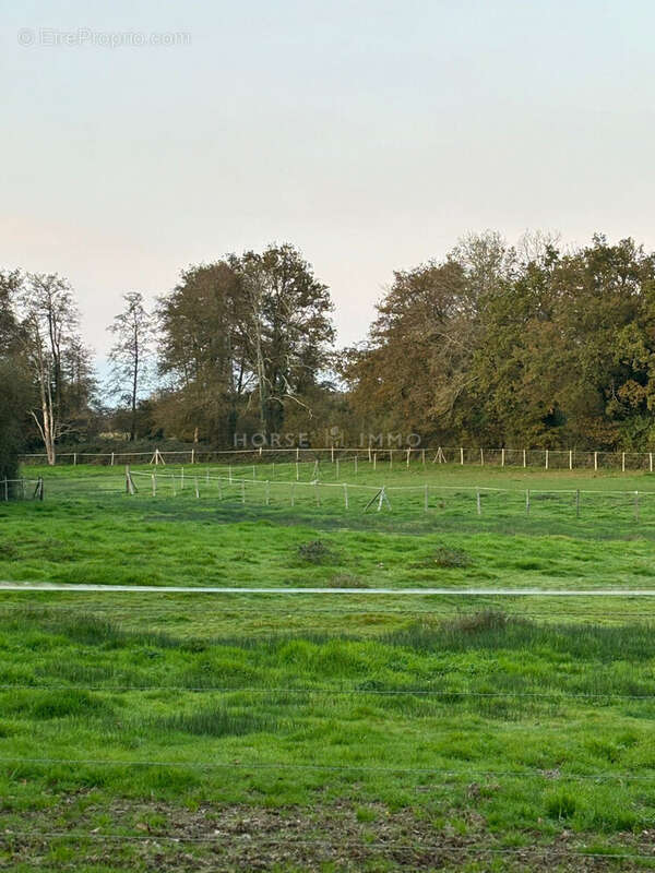 Maison à LA ROCHE-SUR-YON